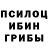 Псилоцибиновые грибы мухоморы Darren Bazilsky