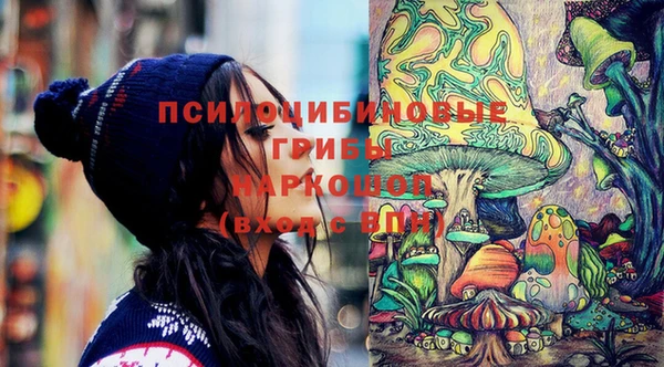 ешки Богородск